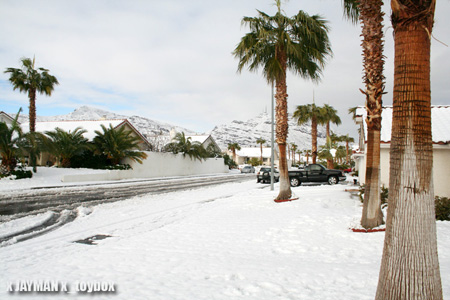 Vegas Snow Vegas Snow