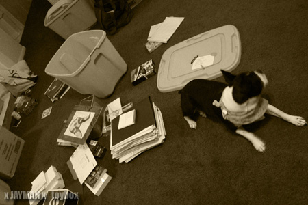 04-05 July | Lisa Weekend Packing