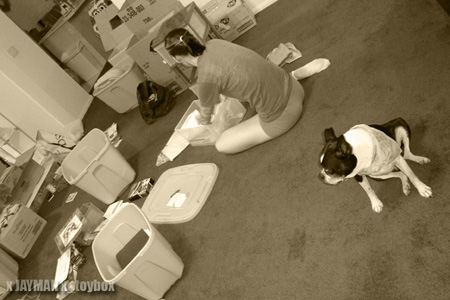 04-05 July | Lisa Weekend Packing